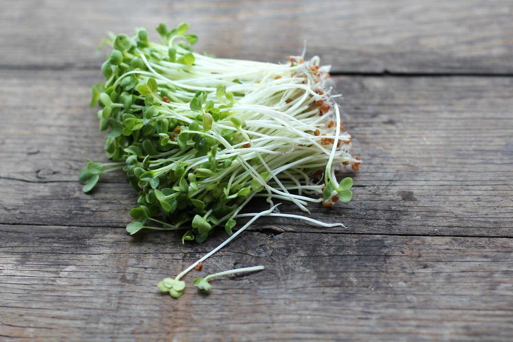 Fresh microgreens scattered on a rustic wooden surface, showcasing vibrant green leaves and delicate white stems, ideal for adding flavor and nutrition to dishes.